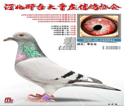 20�ر�����55��,���P(gu��n)����24��