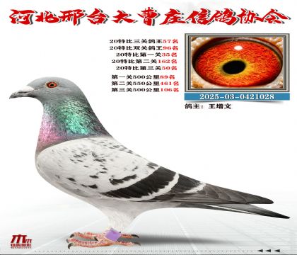 20�ر�����57��