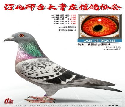 20�ر�����59��