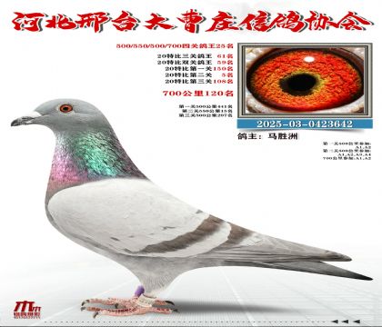 20�ر�����61��,700����120��