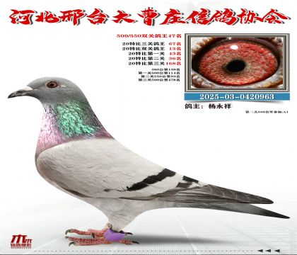 20�ر�����67��