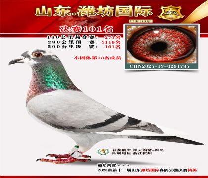 潍坊国际决赛101名