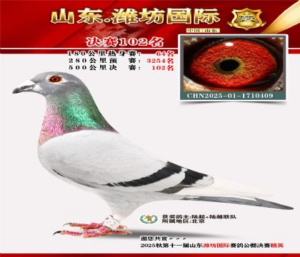 潍坊国际决赛102名