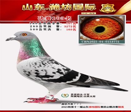 潍坊国际决赛103名