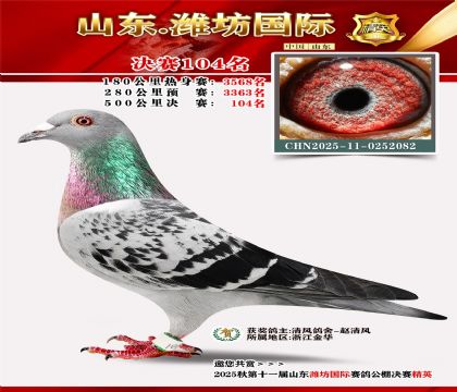 潍坊国际决赛104名