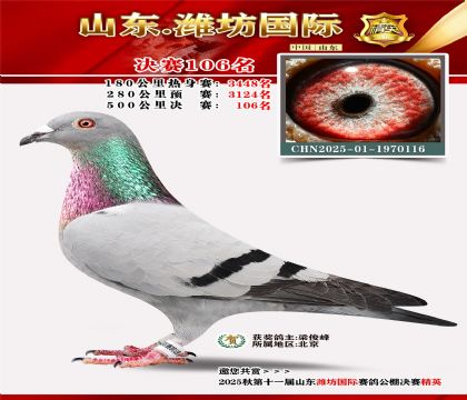 潍坊国际决赛106名