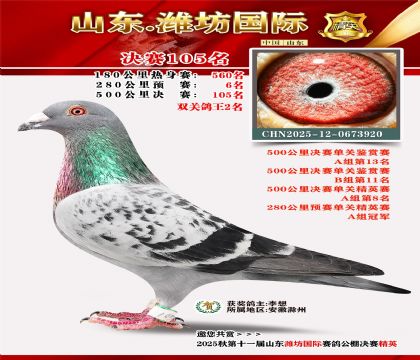 潍坊国际决赛105名