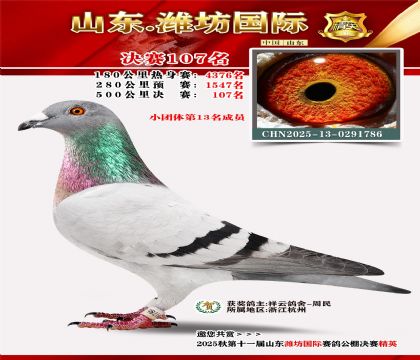 潍坊国际决赛107名