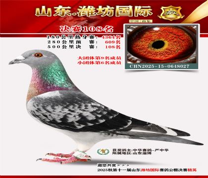 潍坊国际决赛108名