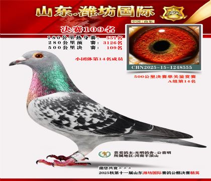 潍坊国际决赛109名