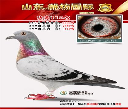 潍坊国际决赛110名