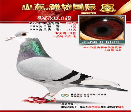 潍坊国际决赛111名(三关鸽王7名)