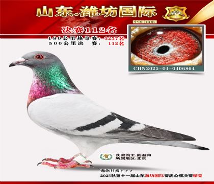 潍坊国际决赛112名