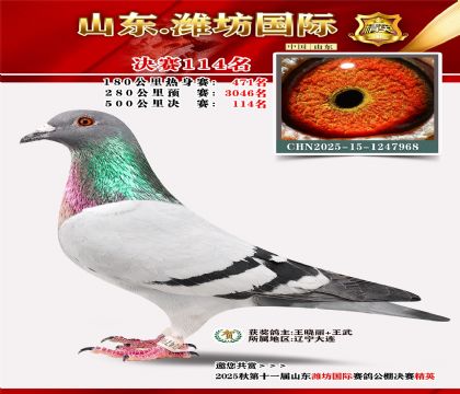 潍坊国际决赛114名