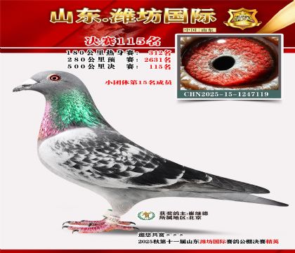 潍坊国际决赛115名