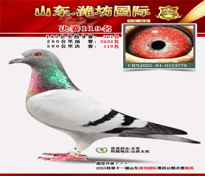 潍坊国际决赛119名