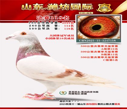 潍坊国际决赛118名