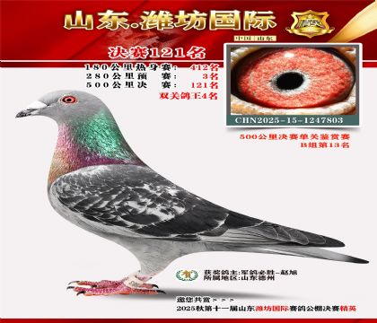 潍坊国际决赛121名