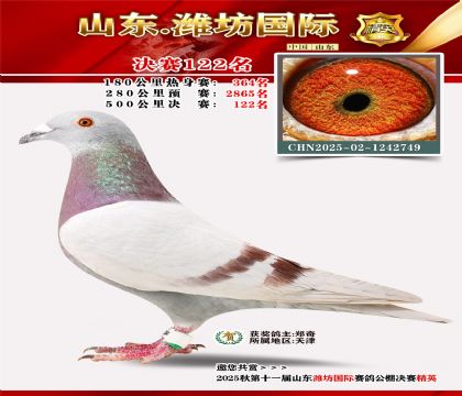 潍坊国际决赛122名