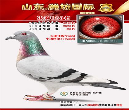 潍坊国际决赛123名