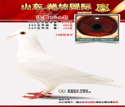 潍坊国际决赛124名