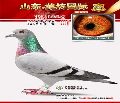 潍坊国际决赛125名