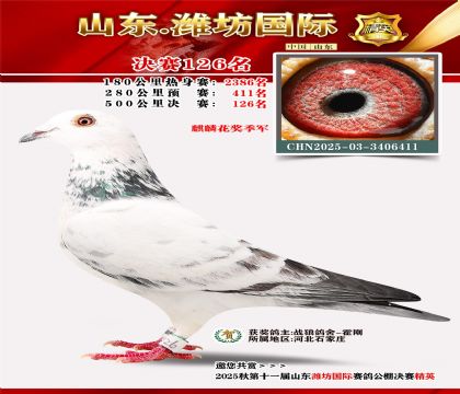 潍坊国际决赛126名