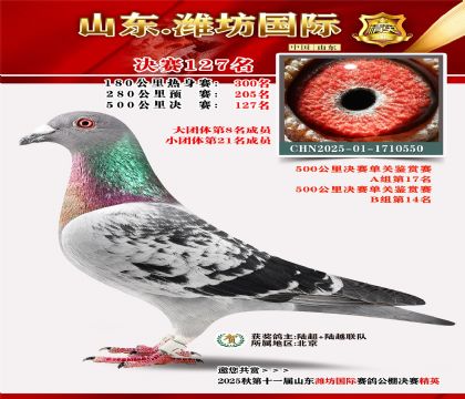 潍坊国际决赛127名