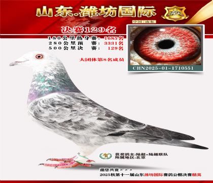 潍坊国际决赛129名