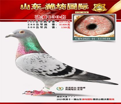 潍坊国际决赛130名