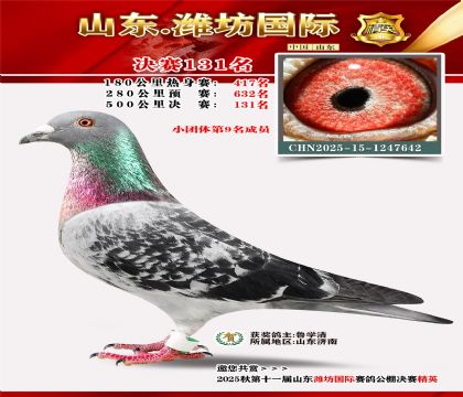 潍坊国际决赛131名