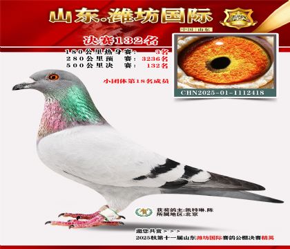 潍坊国际决赛132名