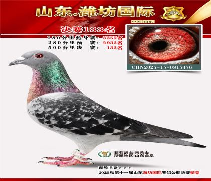 潍坊国际决赛133名