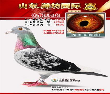 潍坊国际决赛134名