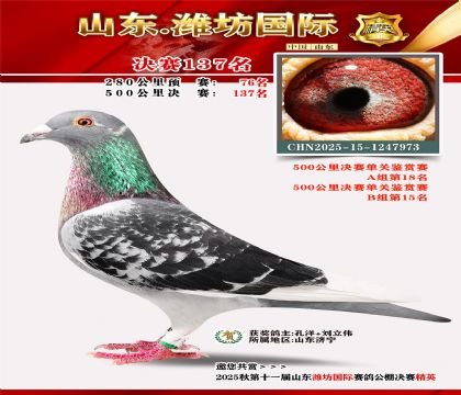 潍坊国际决赛137名