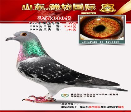 潍坊国际决赛140名