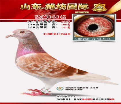 潍坊国际决赛141名