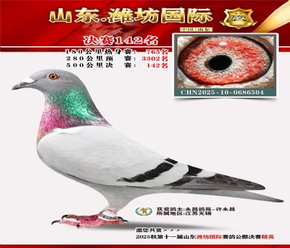 潍坊国际决赛142名