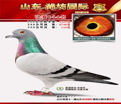 潍坊国际决赛144名