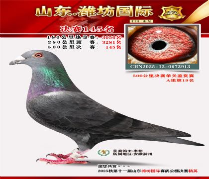 潍坊国际决赛145名