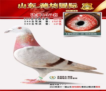 潍坊国际决赛147名