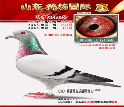 潍坊国际决赛146名