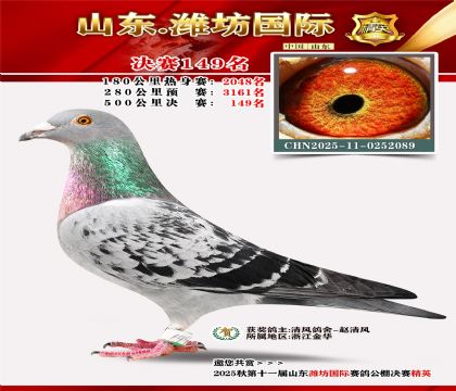 潍坊国际决赛149名