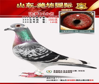 潍坊国际决赛148名