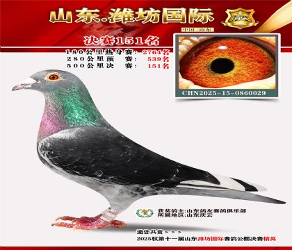 潍坊国际决赛151名