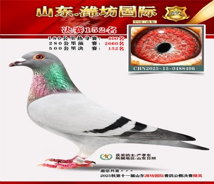 潍坊国际决赛152名