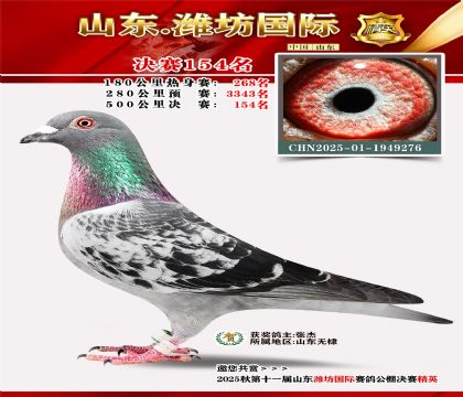 潍坊国际决赛154名