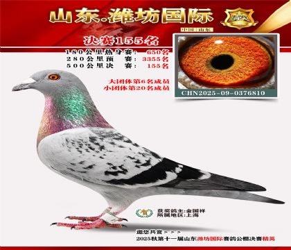 潍坊国际决赛155名