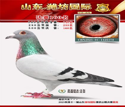 潍坊国际决赛160名