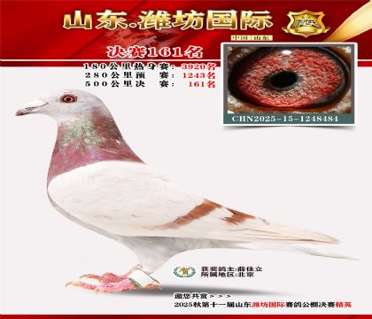 潍坊国际决赛161名